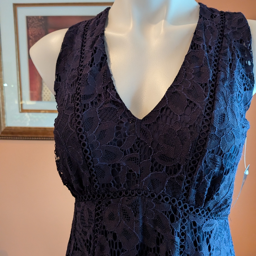 NEW Navy Taylor Lace Dress Size 4 - Picture 3 of 15